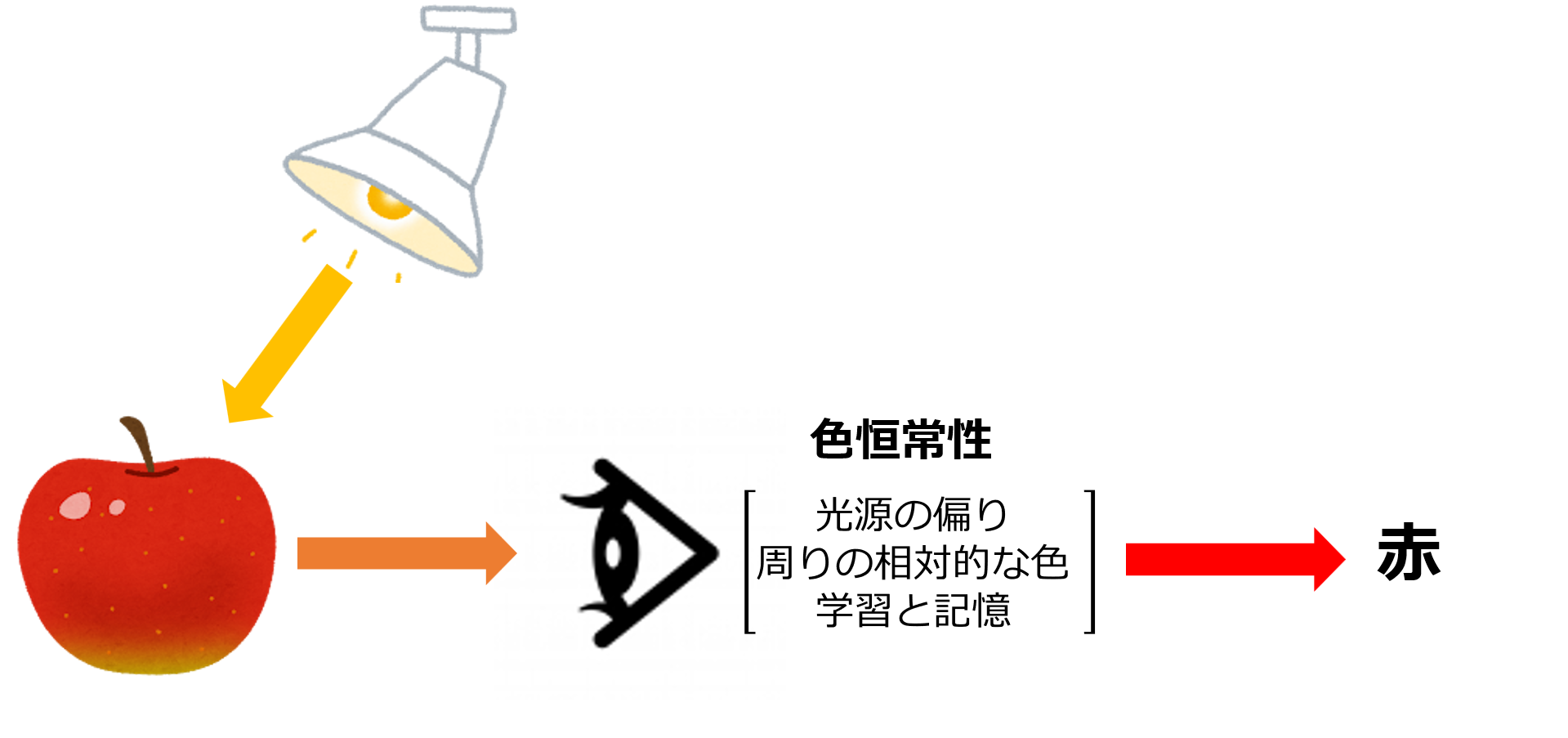 色恒常性の図
